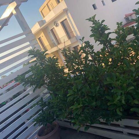 ريجّو دي كالابريا B&B H224 المظهر الخارجي الصورة